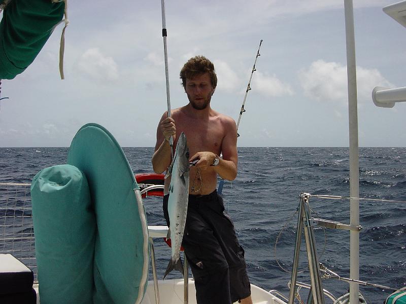 barracuda.jpg -                                